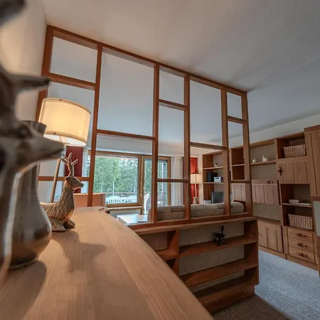 Rehwiesa A11 By Vacations Apartment