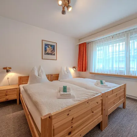 Rehwiesa A11 By Vacations, Direkt Vor Der Skipiste&mit Pool